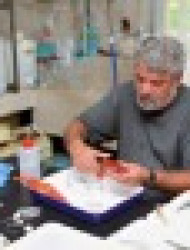 דניאל גולני