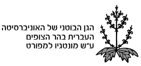 הר הצופים