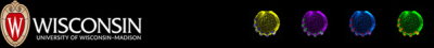 SHARMA LAB