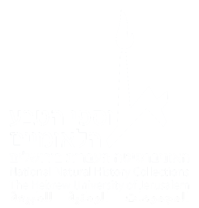לוגו אוספים