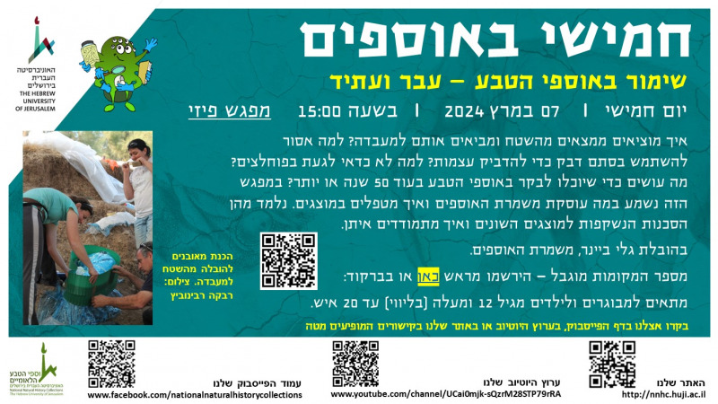 חמישי באוספים - שימור