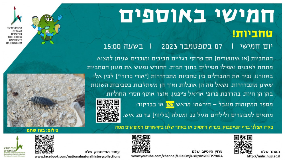 חמישי באוספים ספטמבר 2023