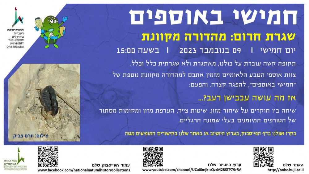 חמישי באוספים 9 בנובמבר