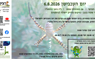 יום העכבישן 2026