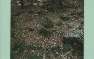 Bryophyte_flora_cover