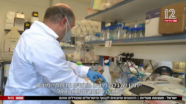 מיזם חדש למיפוי גנטי של פטריות הבר בישראל