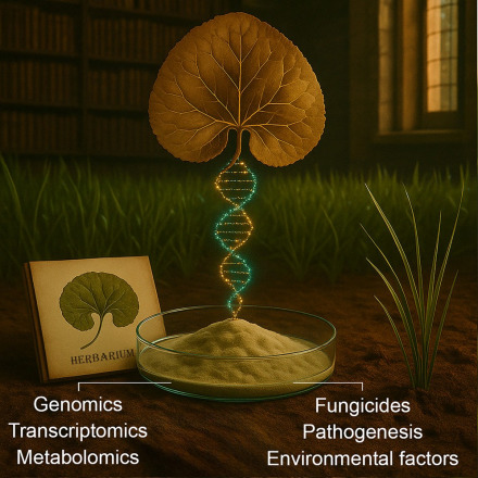 פטריות בנות 80 שנה מלמדות איך השתנו מערכות אקולוגיות