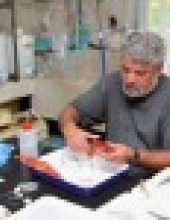 דניאל גולני